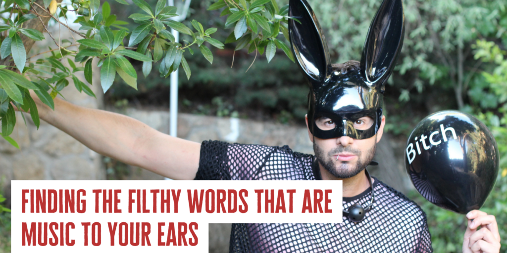 erotic verbal humiliation